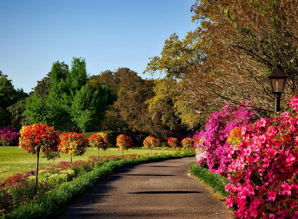 Συντήρηση Κήπων